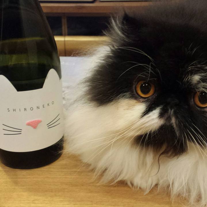 4286b5ab 9089 43bb abaa 7e8921b99ede