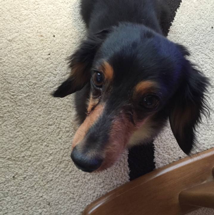 4286f909 b752 4203 9a95 d1dc141fb6ab