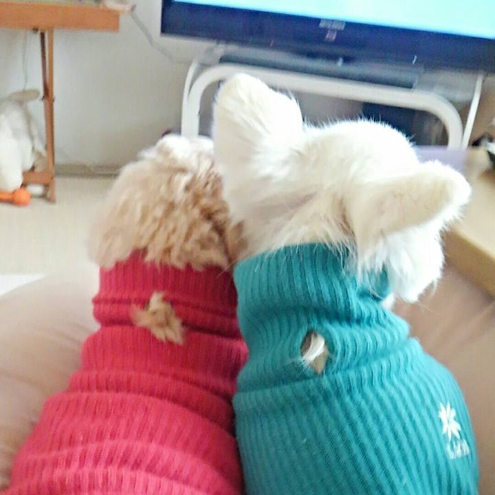 42871428 26d2 46d6 b4ff 0694cb63fc0d