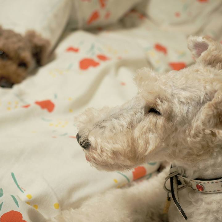 42872aa7 468a 4834 85fc 7431ac84a2a0