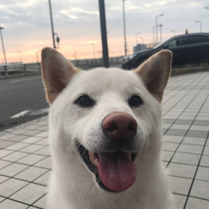 42872d53 6945 4bbc aef3 bfbd0097f263