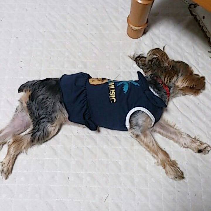 4287ccdd e210 4bba 939c 5aec1a296497