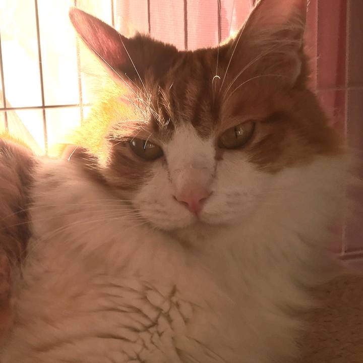 42881662 4be4 4bea ba11 a9f13be59641