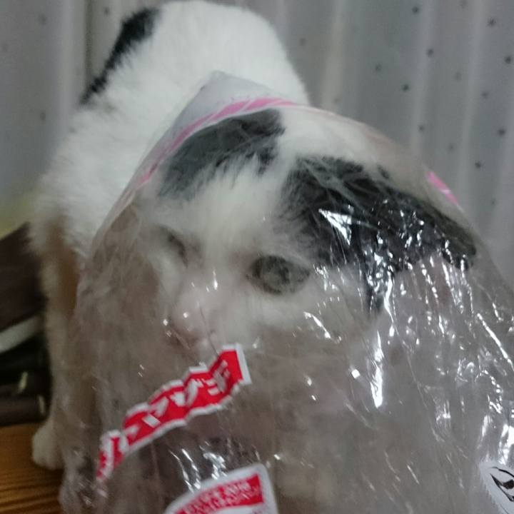 42884a0d 8602 44f8 973f 4c5b9f6c7bce