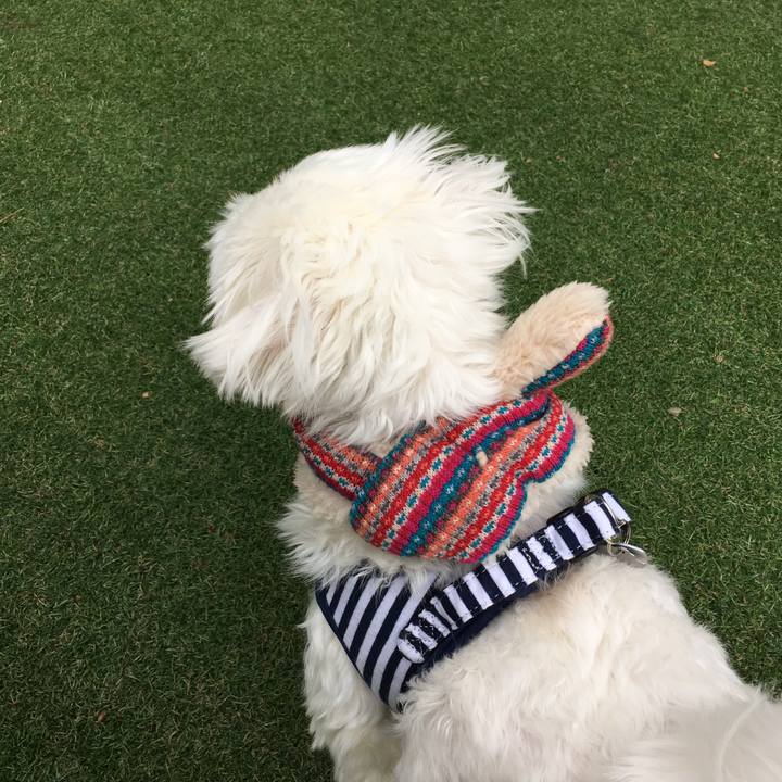 428894f7 2251 405e 867c 76efa431a418