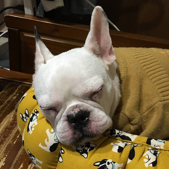 428963c2 29e5 4165 87d8 18834be62dd8