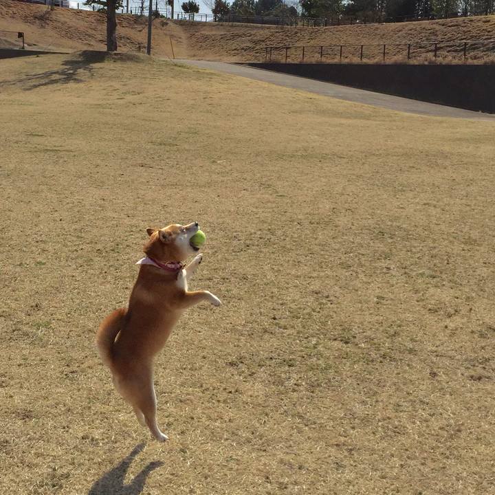 42899582 bcbe 4616 b830 05e56b193994