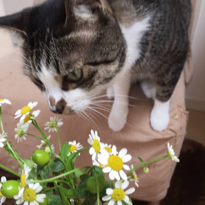 4289cc9f 5f96 48d2 8b28 592c86d4232c