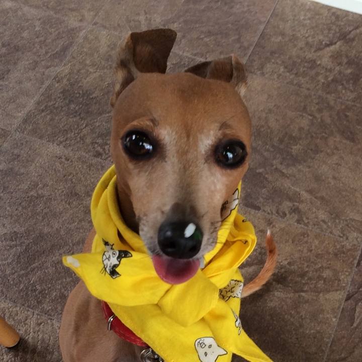 428a1113 9a22 483c 8887 039f6e9524f0