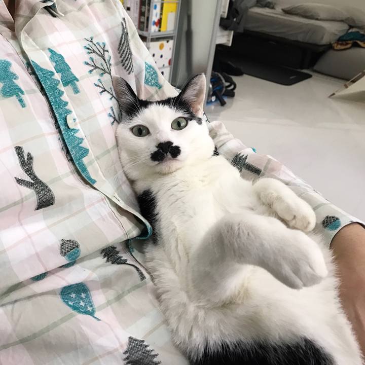 428a2410 87a8 4a68 931c 00fbc68b4443