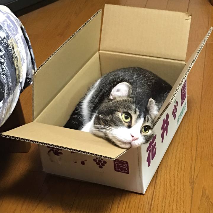 428abc34 7620 4bea 8f9d a5c0d0922025