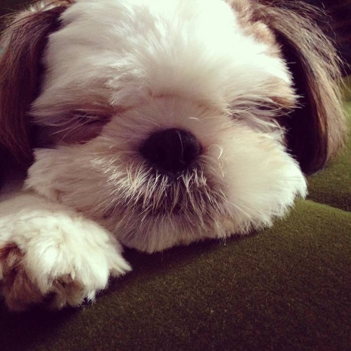 428ad598 3643 4b11 a707 19c2b762a61f