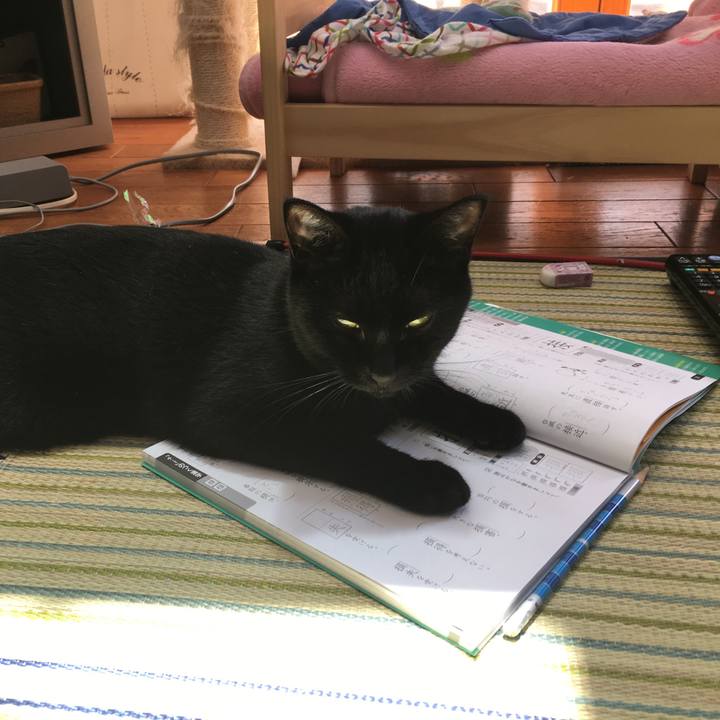 428ae1e8 93cc 42fa bb8c 9de05bac3463