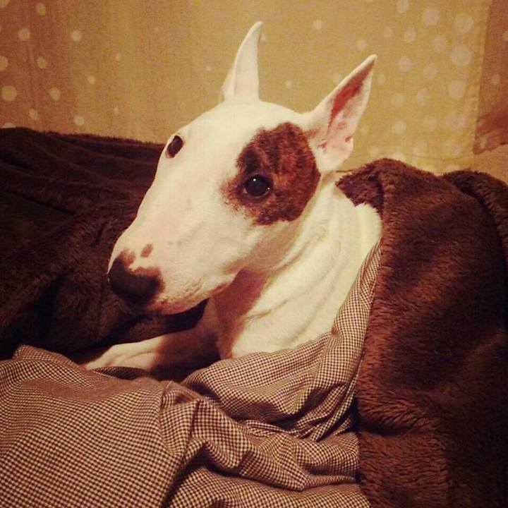 428af382 5883 482c 9657 459885f0aa6c