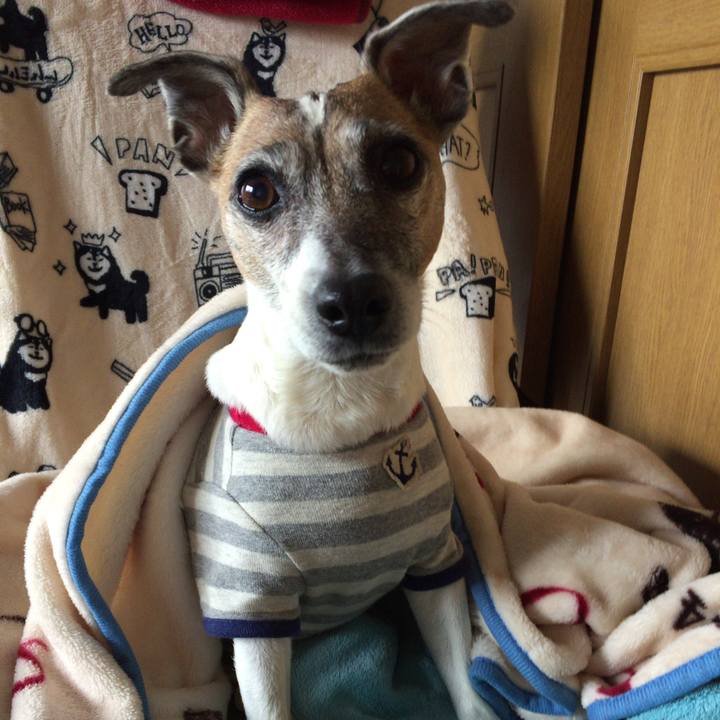 428b3ecf f10d 4274 919f 27f979064d89