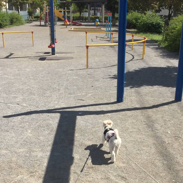 428b6a84 4a89 4f46 93c5 5c11cb4a1e4c