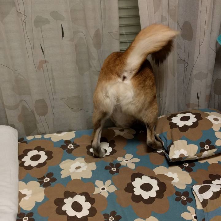 428bb2d4 3f83 491d b333 63ba601e1f49