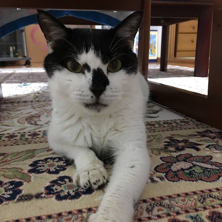 428c8351 95b9 46a6 86e1 690b670c4a4e