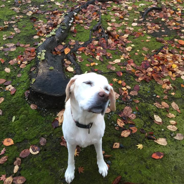 428c8ae2 6fd6 4add b485 a3b06fced395