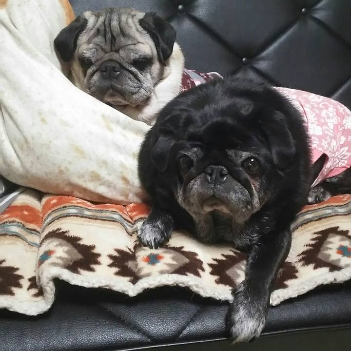 428caa8b 63b0 4ec8 980c 677482ce0293