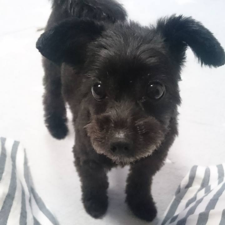 428d1e51 8009 4e1a 9a9c ea0d1b018dcc