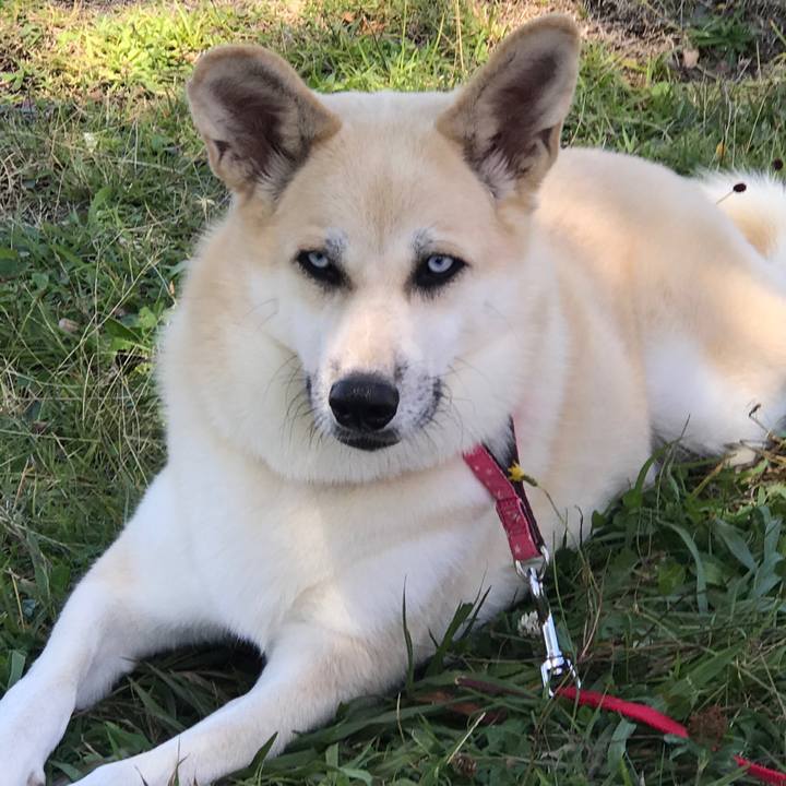 428d23fc 09e6 46da 96dd 4195628e53aa