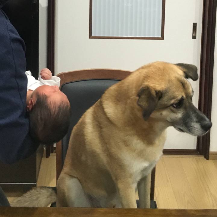 428d2c73 f968 4b17 82be f968f0259652