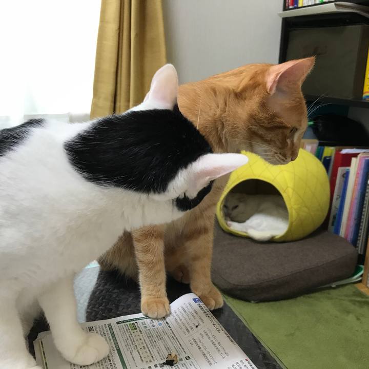 428d31e3 3158 4fe6 b1da bafed5977a9d