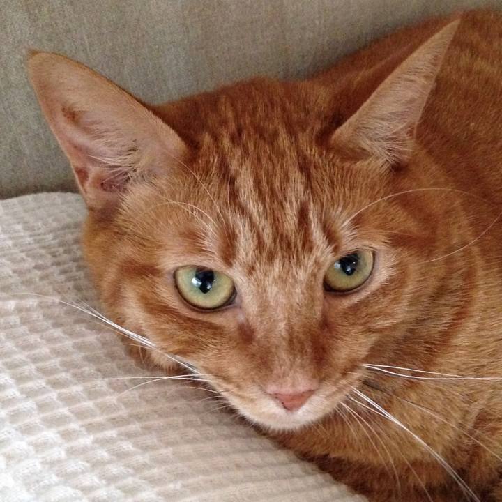 428dc6d3 4d97 4bd4 b39c de72c4aafe01