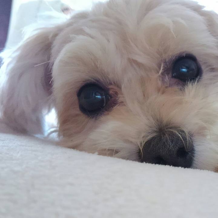 428dcad3 c759 4927 b8c4 1851a76b123d