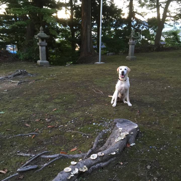 428e3d9e 67fe 4cb8 8092 23a469e79834