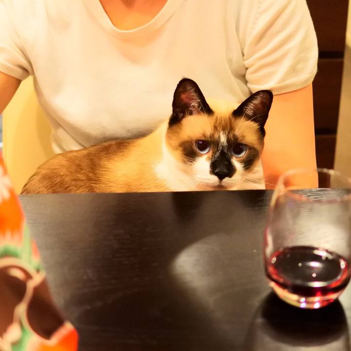 428e97ad 16e7 4873 b857 1727b841e8d2