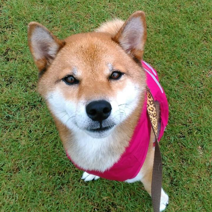 428eec44 c2cd 4c60 bc2e 3df94dee059e