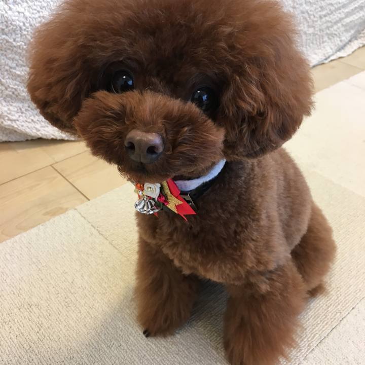 428f178f 91b9 4228 8f2a 0bb0369fcbbd