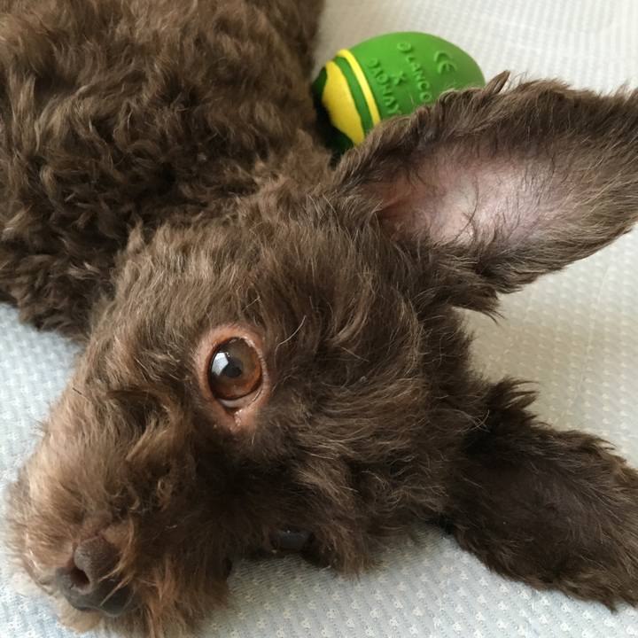 428f26c8 1cd0 4aa0 ba64 717e5e5a4d95