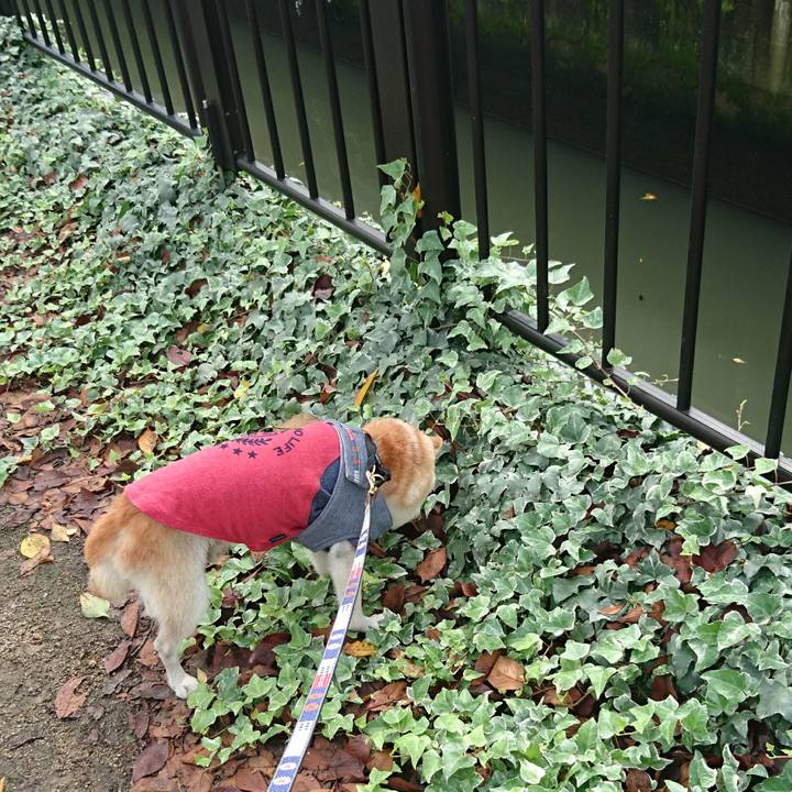 428f4780 abfc 4ccb 8014 eb309e2438da