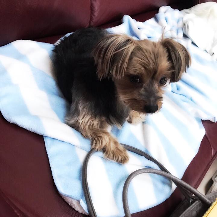 428f675e 1084 41a8 814c 2f4471031a16