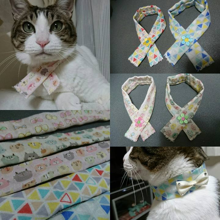 4290131c 9a73 4faa 9fa5 d6d7d7a50a5f