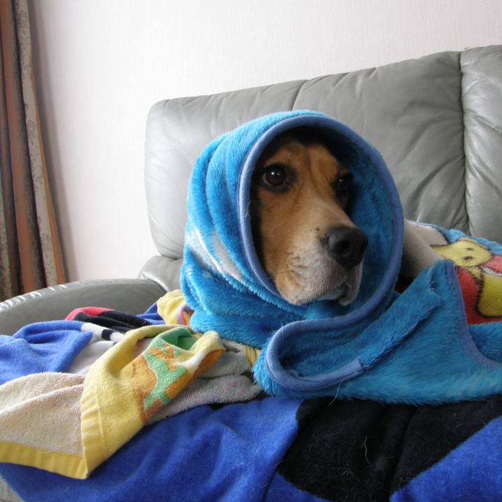 429030be 4a43 47e1 bde0 077a45519649