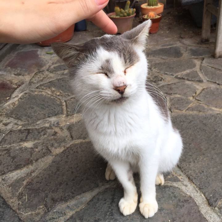 429061ba 7569 4410 b1c8 b896535650b8