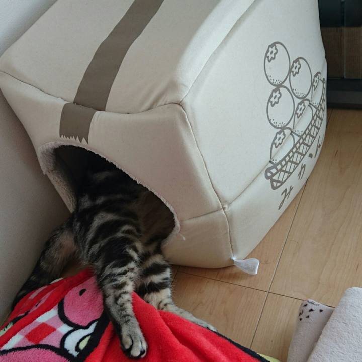 429114d2 1696 426d 8868 f5cafd8bcc81