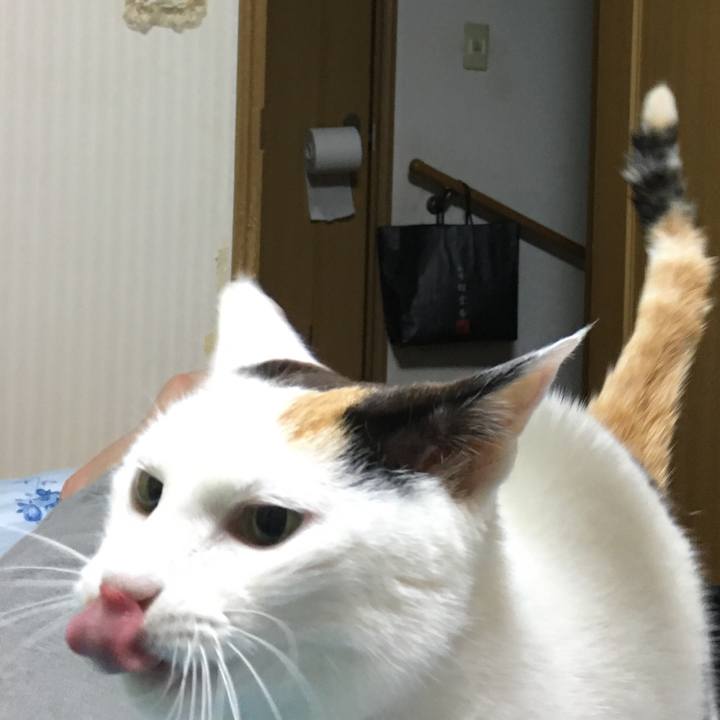 42918859 0c81 424c b4f3 c17803524800