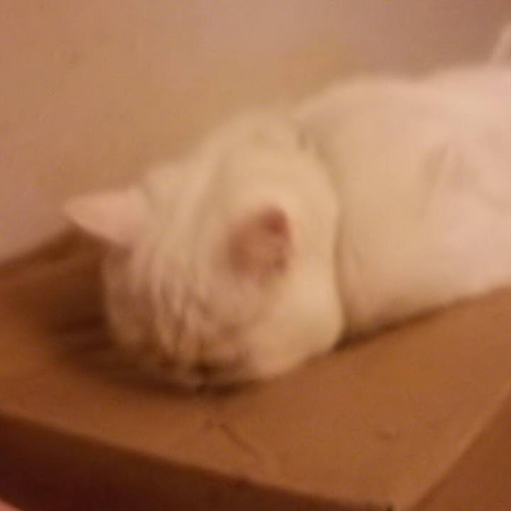 4291d36b 8c0d 4526 b227 f1d6c2902871