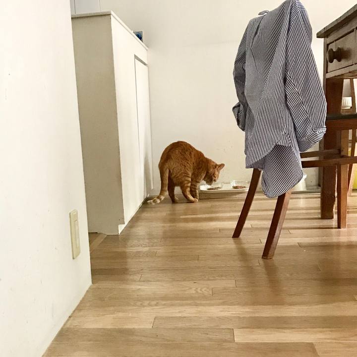 42924a39 e470 4692 9c18 d46a17ffa65b