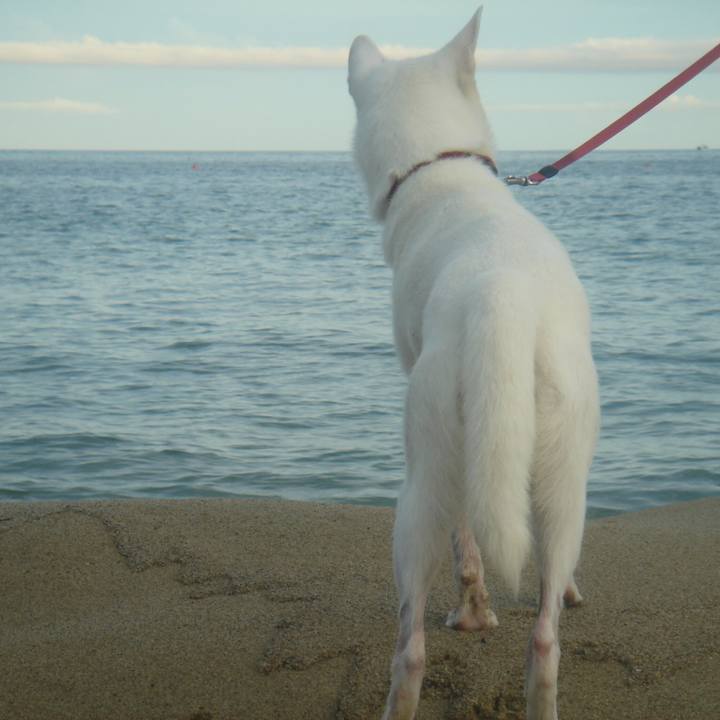 4292715e 0c9d 4628 bba1 d433ee35ea01