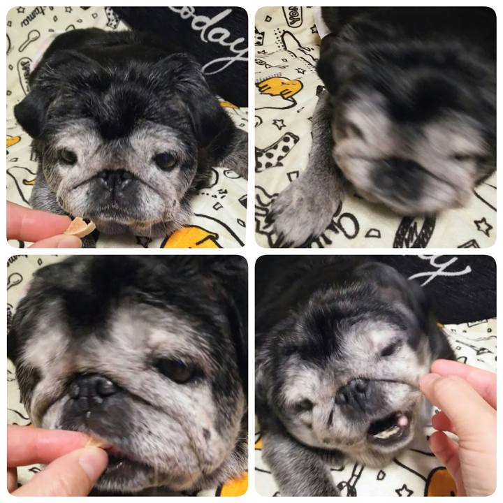 42927733 85df 4a5c 89c3 e6bc6990400f