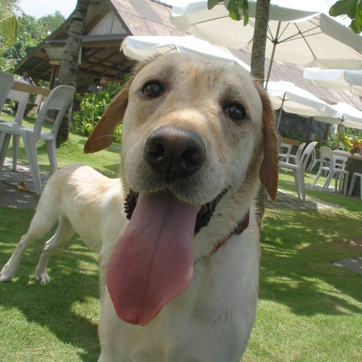 4292929b 5784 43f8 9809 935303332ed8