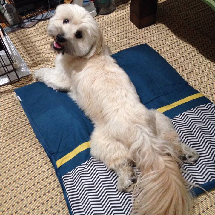 4293a9c4 68c9 4963 b1f3 a0ae81d3aebb