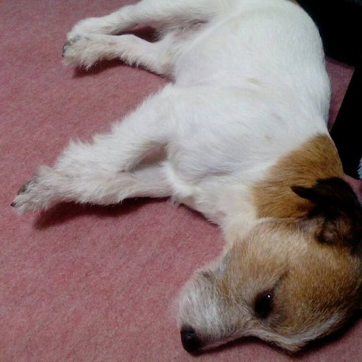 429465e5 1b1c 4c40 b6ee c1d2cb825e18