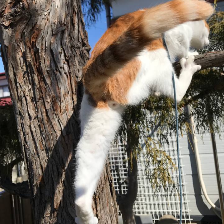 429474c6 1891 4a43 8b60 5b81ce62a27b